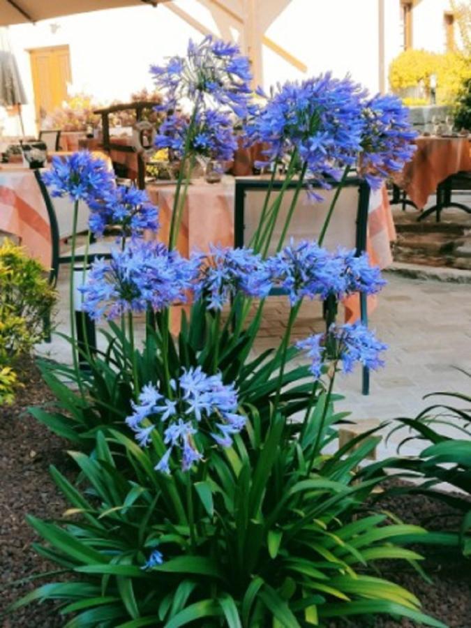 La Chaumiere Hotel Aubigny-sur-Nère Екстериор снимка